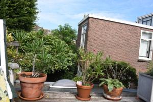 Afbeelding uit fotogalerij van Bed & Breakfast Leonie in Den Haag