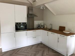 Kuchyň nebo kuchyňský kout v ubytování Villa Felix with sauna in Ermelo