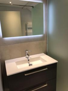 ein Bad mit einem Waschbecken und einem Spiegel in der Unterkunft Villa Felix with sauna in Ermelo in Ermelo