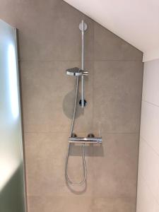 een douche in een badkamer met een metalen douchekop bij Villa Felix with sauna in Ermelo in Ermelo