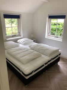 Postel nebo postele na pokoji v ubytování Villa Felix with sauna in Ermelo