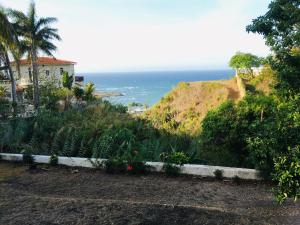 einen Garten mit Meerblick in der Unterkunft Peaceful Ocean View Studio in San Felipe de Puerto Plata