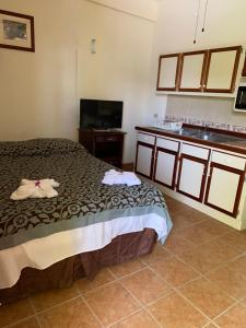 1 dormitorio con 1 cama y TV de pantalla plana en Panchos Villas, en Caye Caulker