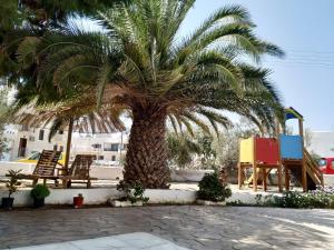 a palm tree with two chairs and a table at Chrisanthi Studios in Agios Prokopios