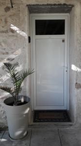 una planta en una olla delante de una puerta en PAUSE ROMANTIQUE EN PAYS BRAYAUD en Châtel-Guyon
