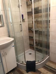 Kriva PalankaApartment KARADAK的浴室里有玻璃门的淋浴间