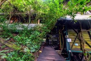 a path leading to a building with trees around it at Ayahuasca in Puerto Nariño