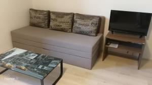 TV a/nebo společenská místnost v ubytování PENZION U BRÁZDŮ