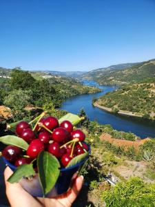 Paisagem natural perto da casa de férias