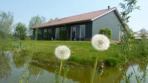 Příroda nedaleko bed and breakfast