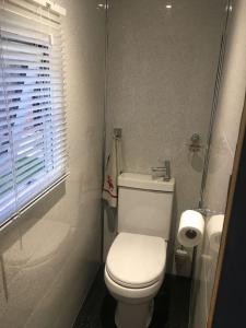 a bathroom with a white toilet and a window at Woodland View - a place to escape in Swynnerton