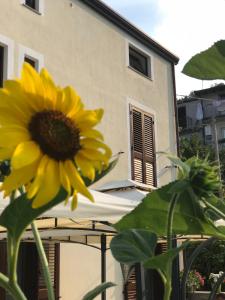 LongiにあるAntico Borgo San Francescoの建物前の黄色ひまわり