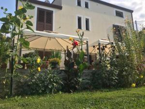 LongiにあるAntico Borgo San Francescoの傘を持つ家の前の庭