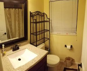 a bathroom with a sink and a toilet and a mirror at C3 Large Private Master Room & Bath with 55" TV in Orlando