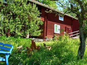 a group of chickens in the grass in front of a red house at Wiborggården Bed and Breakfast in Boda
