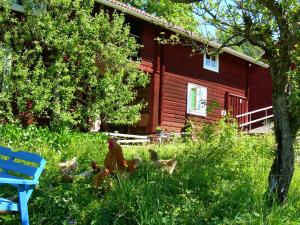 BodaにあるWiborggården Bed and Breakfastの赤家の前の草の鶏の群れ