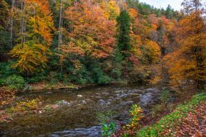 Φωτογραφία από το άλμπουμ του Smokies Sanctuary σε Hatchertown
