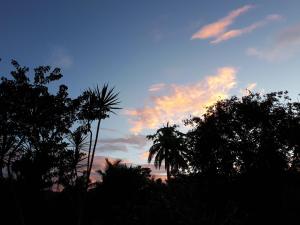 a sunset with palm trees and a cloudy sky at Villa del Carmen Haven Bohol in Carmen