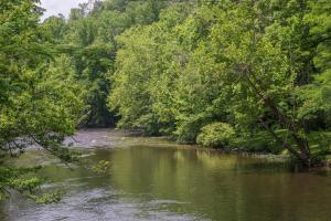 Gallery image of Bear Haven in Tuckaleechee