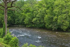 Gallery image of Bear Haven in Tuckaleechee +16 photos