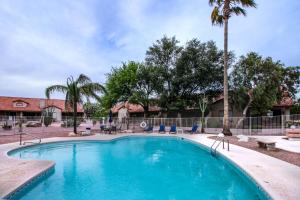 - une piscine avec des chaises et un palmier dans l'établissement Tucson National #2428, à Tucson
