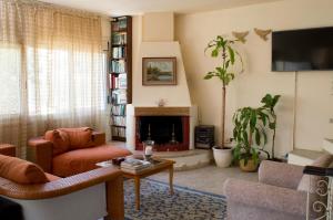 a living room with a couch and a fireplace at Calm Sea House in Nea Fokea