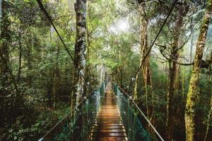 O Reilly S Rainforest Retreat Canungra Updated 21 Prices O Reilly S Rainforest Retreat Canungra Updated 21 Prices