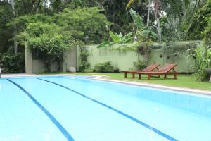 uma piscina com duas cadeiras e um banco em Clove Transit Hotel em Kotugoda