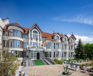 Foto dalla galleria di Hotel Castel a Sfântu-Gheorghe