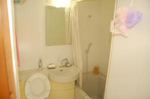 een badkamer met een toilet, een wastafel en een douche bij 東のオズ in Higashi