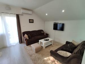 a living room with a couch and a tv at Forest Apartment in Nikšić