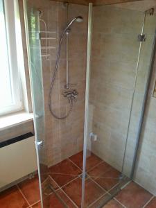 a shower stall with a glass door in a bathroom at Fewo-Seefeld in Norderaussendeich