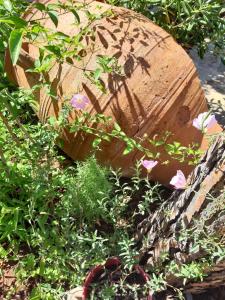 un jardin avec des fleurs roses et un grand rocher dans l'établissement Hotel Eliza, à Agios Nikolaos