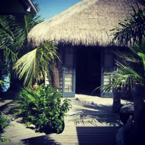 Taman di luar The Island Retreat
