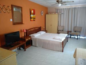 um quarto de hotel com uma cama e uma televisão em Rantzo Holiday Apartments em Pissouri