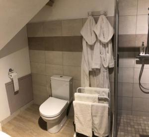 a bathroom with a toilet and a shower with towels at Manoir la Rumillette in Saint-Michel-sur-Loire