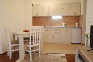 Kuchyň nebo kuchyňský kout v ubytování Apartman Nensy