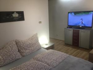 TV a/nebo společenská místnost v ubytování Ferienwohnung Poganz