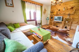 a living room with a couch and a tv at Country House Sara in Rečica ob Savinji