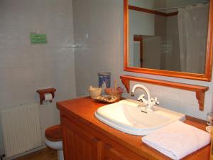 a bathroom with a sink and a mirror and a toilet at Casas de Zapatierno in Espierba