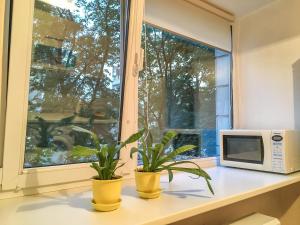 Kuchyňa alebo kuchynka v ubytovaní Sunflower Apartment near Kiev airport & railway station & center city!