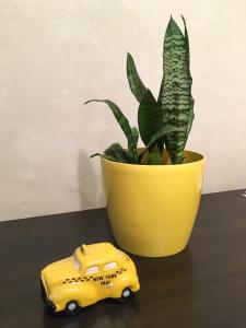 Fotografia z galérie ubytovania Sunflower Apartment near Kiev airport & railway station & center city! v Kyjeve