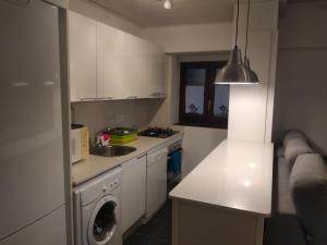 uma cozinha com um lavatório e uma máquina de lavar roupa em Apartamento Ismael em Gausach