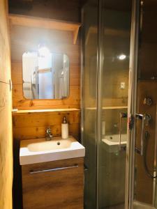 y baño con lavabo y ducha. en La Corneille Blanche, en Les Deux Alpes
