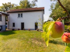 a apple hanging from a tree in front of a house at Ferienunterkuenfte Villmann in Patzig