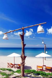 a beach with chairs and umbrellas and a tree at Andalay Boutique Resort in Ko Lanta