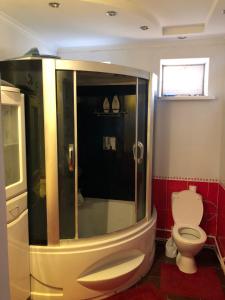 a bathroom with a shower and a toilet at Villa Winery in Cricova
