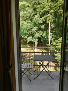 Balkón alebo terasa v ubytovaní Parkhotel Forest