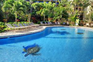a swimming pool with a fish in the water at Kaanapali Shores 706 in Kaanapali