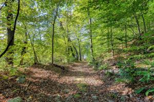 Galería fotográfica de Birch Landing #16 en Plymouth